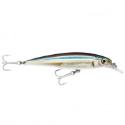 Rapala X-Rap Saltwater 10 - ANC - Anchovy