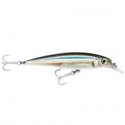 Rapala X-Rap Saltwater 10 - ANC - Anchovy