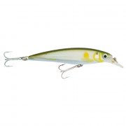 Rapala X-Rap Saltwater 10 - AYU - Ayu
