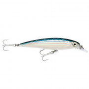 Rapala X-Rap Saltwater 10 - BFH - Baitfish
