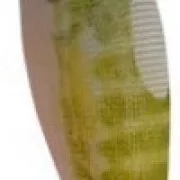 DTD HYBRID KANJAC 3.0 Green