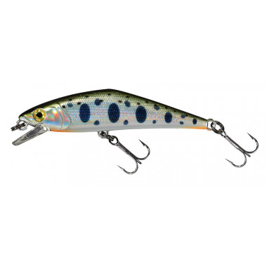 MODELO SMITH D-CONTACT TYPE II