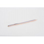 Zoom Swamp Crawler 5 1/2