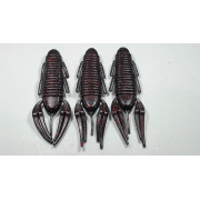 Diema Baits Smally 3.75