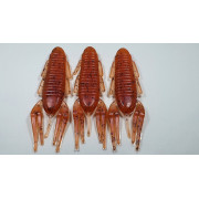 Diema Baits Smally 3.75