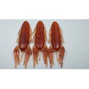 Diema Baits Smally 3.75