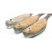 Diema Baits Swimbaits H&M 5