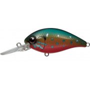 Evergreen Combat Crank 250 - 214 - Pumpkin Seed