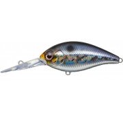 Evergreen Combat Crank 320 - 209 - Hologram Wakasagi