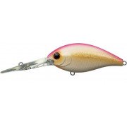 Evergreen Combat Crank 480 - 256 - Glow Peach
