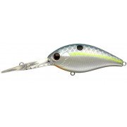 Evergreen Combat Crank 480 - 289 - Queen Shad