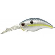 Evergreen Modo Wildhunch - 289 - Queen Shad