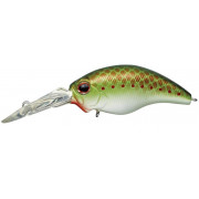 Evergreen Modo Wildhunch - 373 - Olive copper Shad