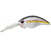272-king_shad_3.jpg
