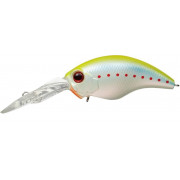 Evergreen Modo Wildhunch 8 Eight Footer - 278 - Morizo Chart