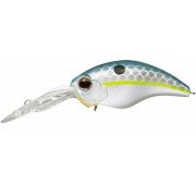Evergreen Modo Wildhunch 8 Eight Footer - 289 - Queen Shad