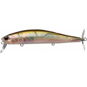 Evergreen Combat Wake Magic - 269 - Flashing Oikawa