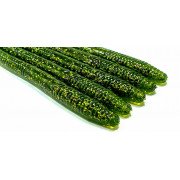 Diema Baits Worm 6