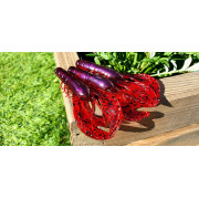 04_diema_baits_craw_Color_266_Red_Blood_Bass.jpg