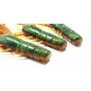 Diema Baits Craw Density 4