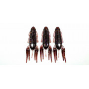 01_diema_baits_smally_Color_007_Dark_Red_Fleck.jpg