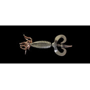 Dranckrazy Derange Whora 5