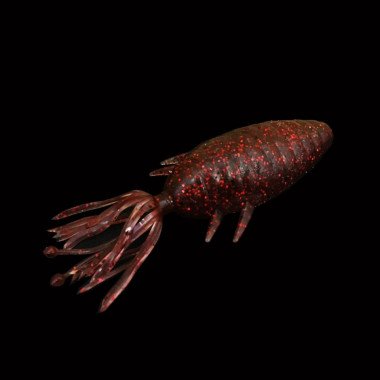  Dranckrazy Oham EX 4,3