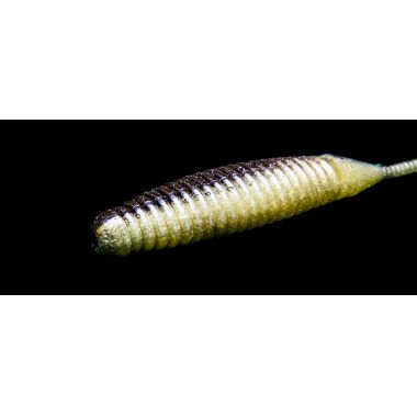 Modelo Dranckrazy Sodom