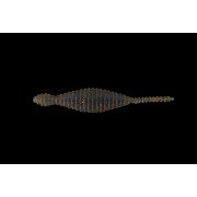 Dranckrazy Tsuchinoko 3