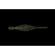 Dranckrazy Tsuchinoko 3