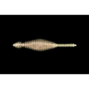 Dranckrazy Tsuchinoko 3