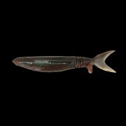 Dranckrazy Induction 4