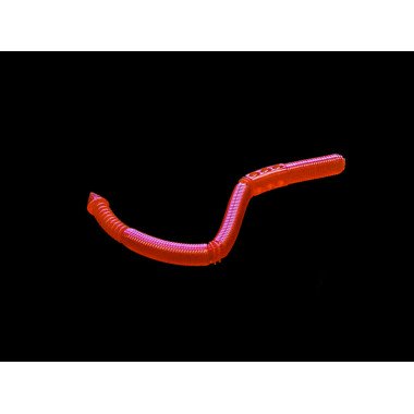 Modelo Dranckrazy Jammer 6