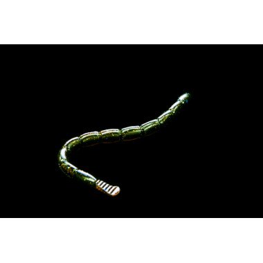 Modelo Dranckrazy Piengfar 6