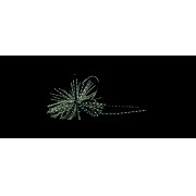 Dranckrazy Seduct 7gr - Color 03 - Darkgill