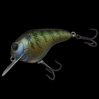 Modèle Dranckrazy Gillbokkuri 70