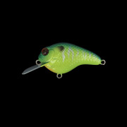 Dranckrazy Gillbokkuri 70 - Color 24 - Blue Back Chasrt