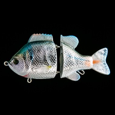 Modèle Dranckrazy Gargoyle Jr 120