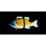 Dranckrazy Gargoyle Jr 120 - Color 11 - Riakure Gill gloss