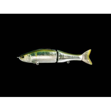 Modèle Dranckrazy Rage 195