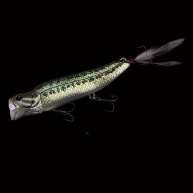 Modèle Dranckrazy Ravin 125