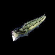 Dranckrazy Ravin 125 - Color 23 - Clear baby Bass