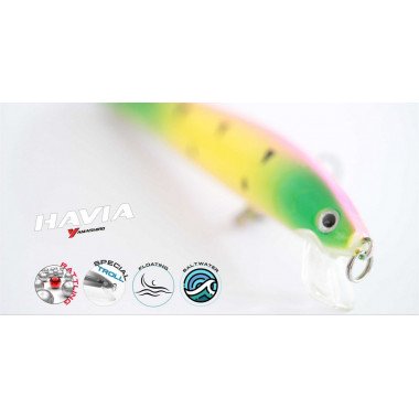Yamashiro Havia 100 - 7gr - Model